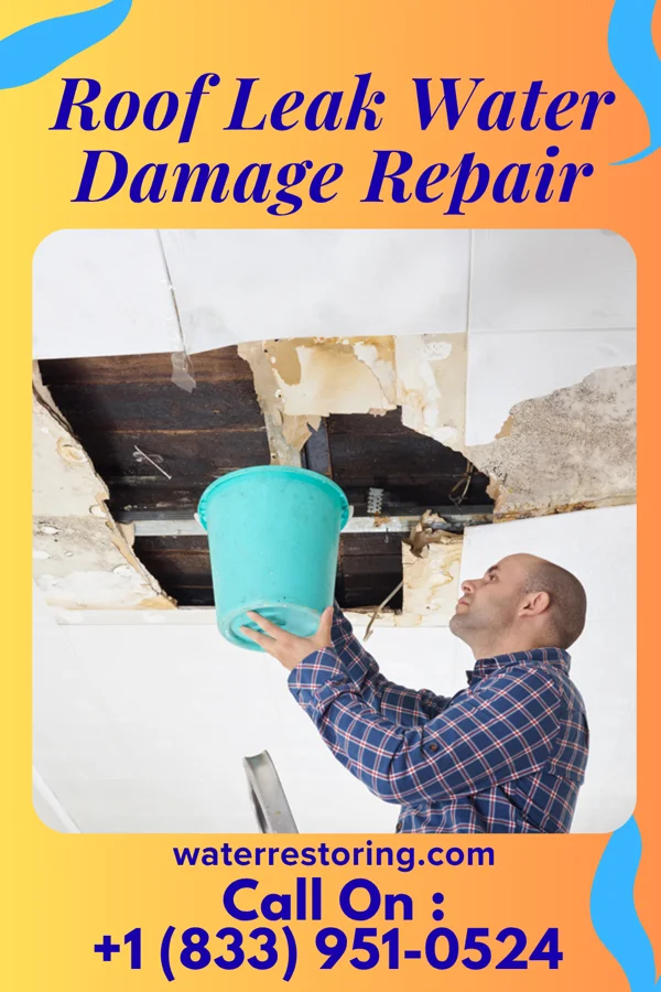 Roof Leak Water Damage Repair in Brussels, IL